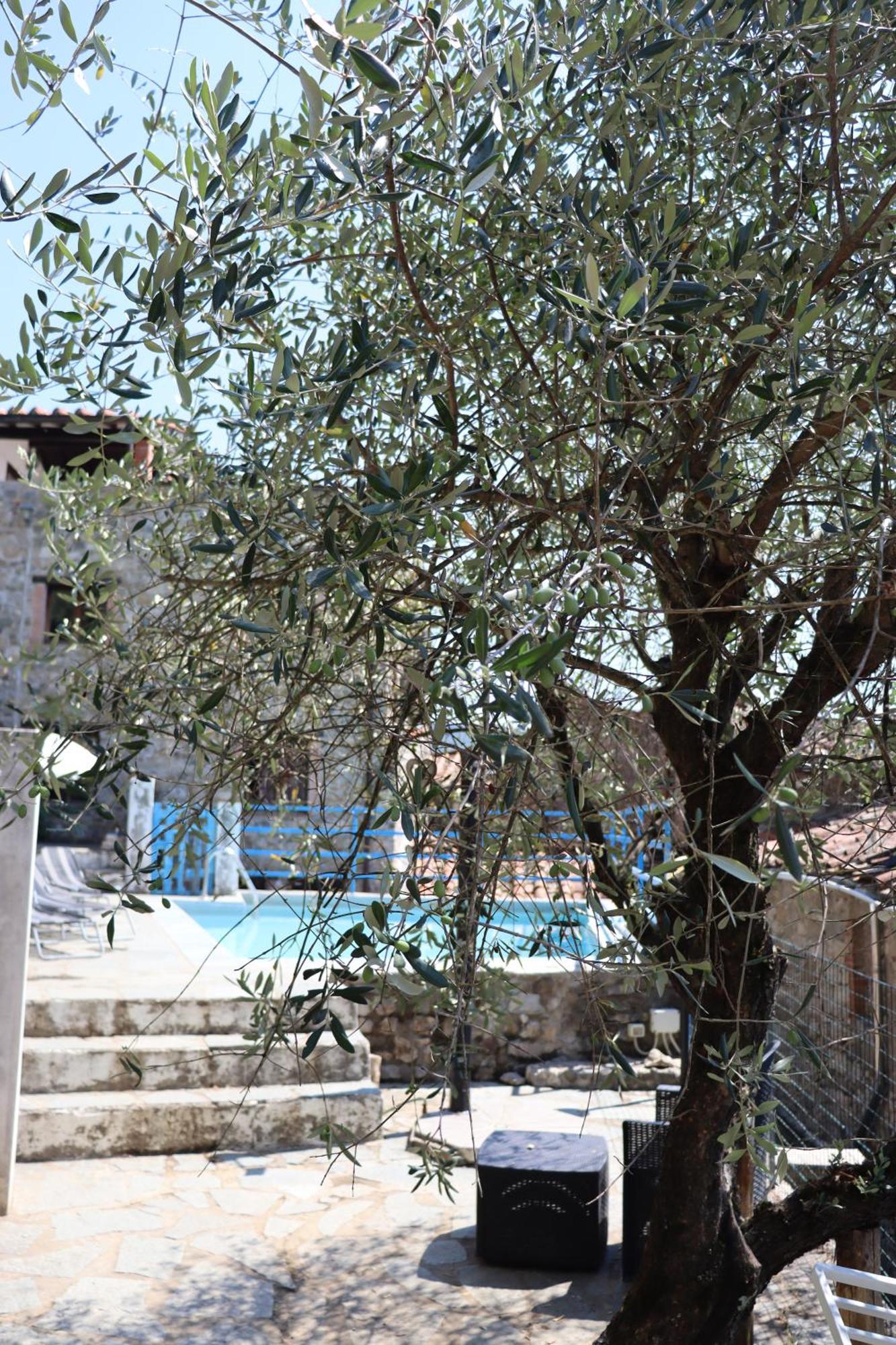 Carpe Diem Colognora Villa Vetriano Dış mekan fotoğraf
