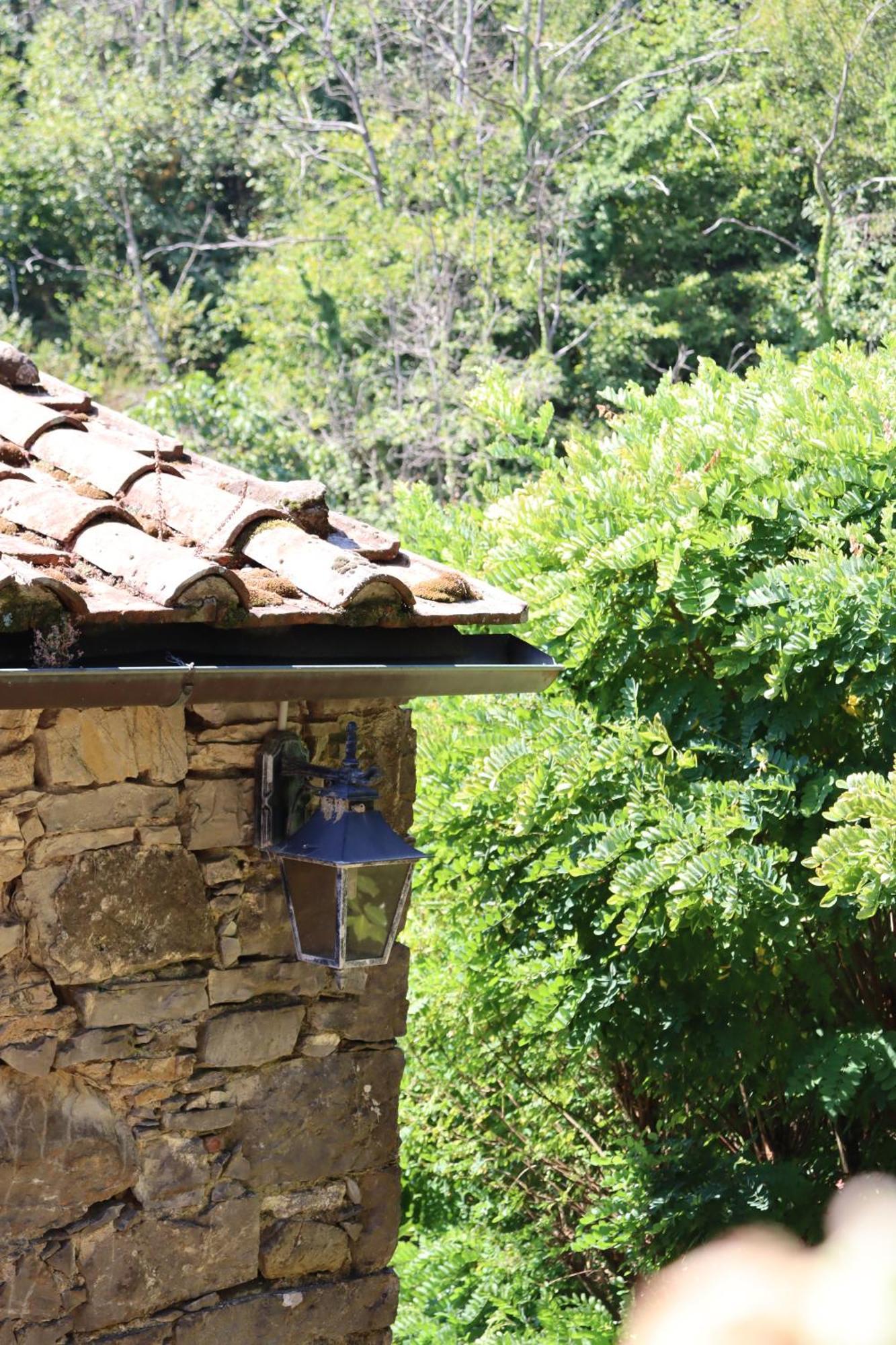 Carpe Diem Colognora Villa Vetriano Dış mekan fotoğraf