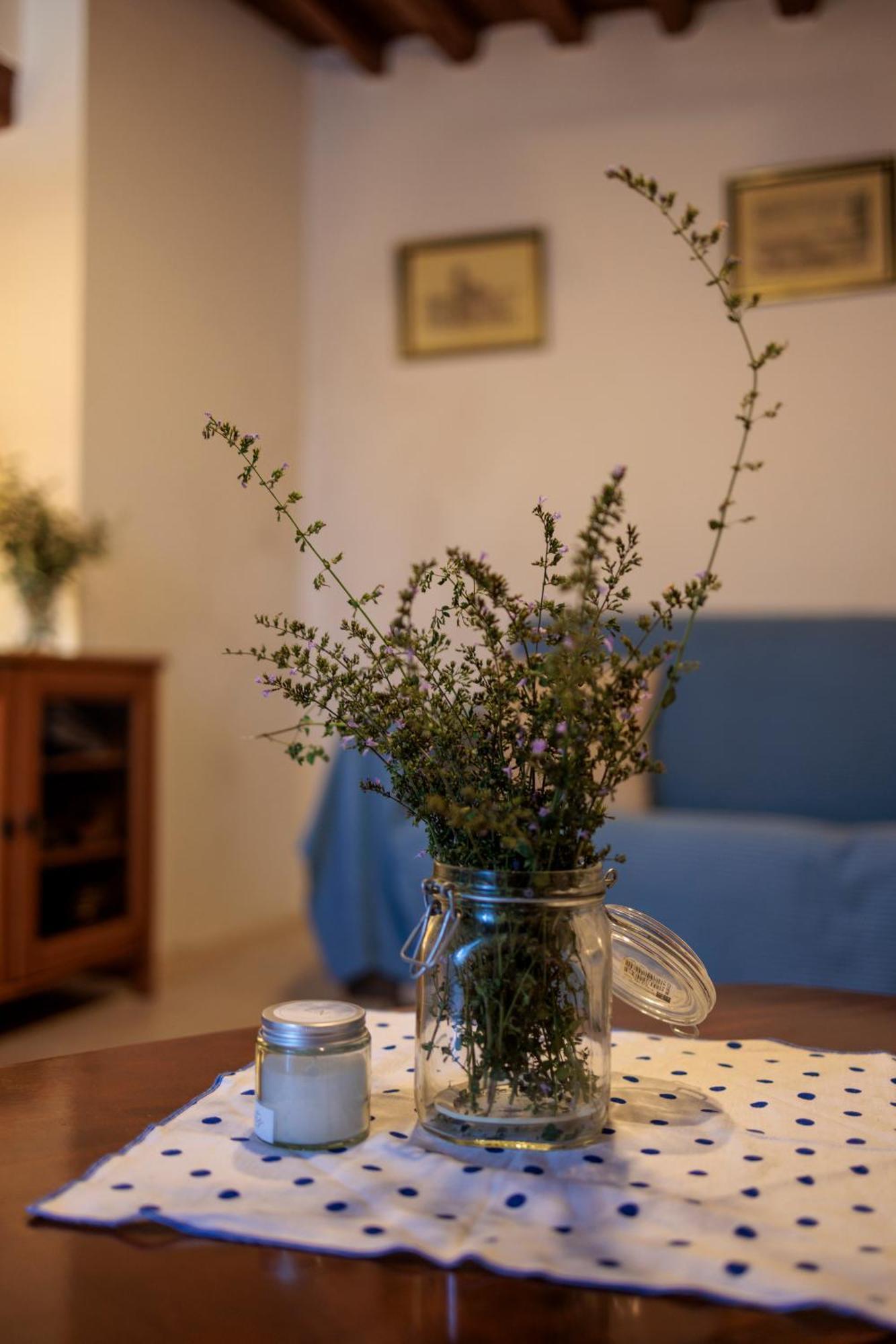 Carpe Diem Colognora Villa Vetriano Dış mekan fotoğraf